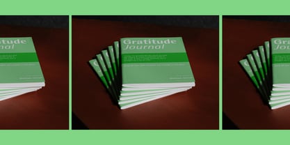 Rotis Semi Sans Font Poster 7